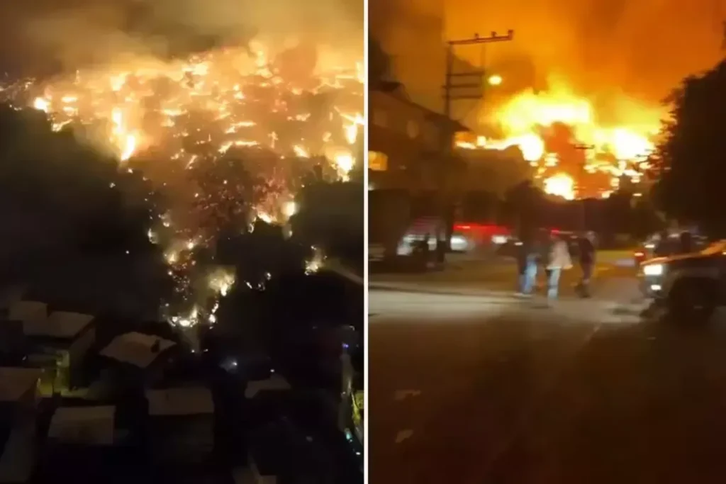 Bursa Orman Yangını: Kundaklama İddiası ve Şüpheli