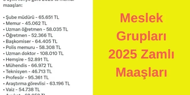 Meslek Grupları Aylık Gelirleri: Bakan Şimşek Açıklamada Bulundu