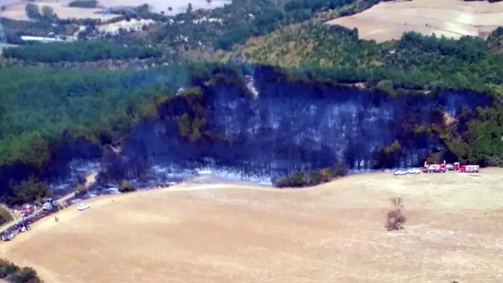 Şarköy Yangını: 1.320 Kişi Tahliye Edildi