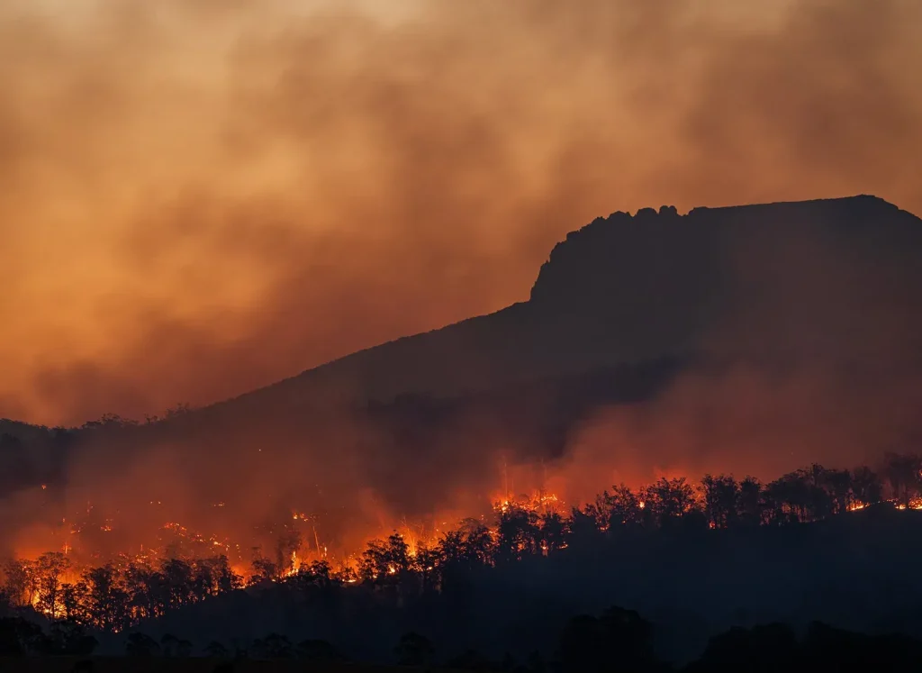 Orman Yangınları: Bilecik, Eskişehir ve Daha Fazlası